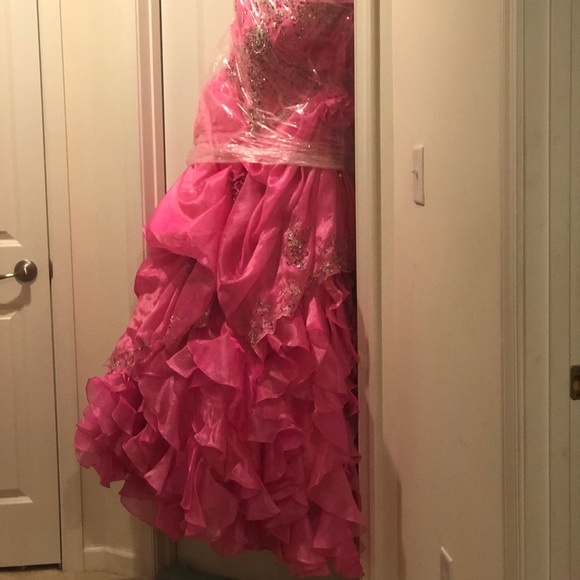 Quinceañera/Prom Dress - Picture 7 of 8